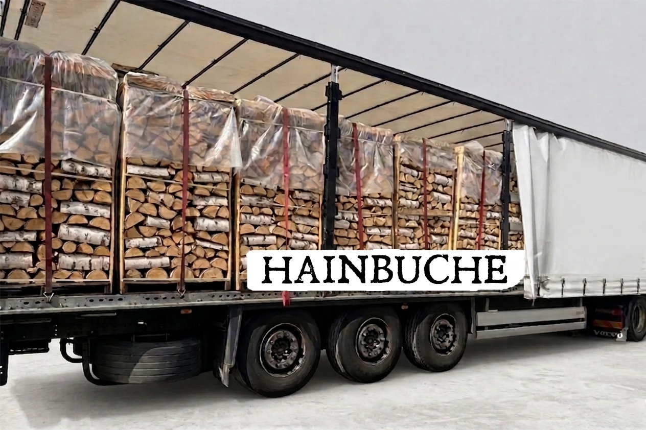 LKW-Ladung Brennholz – Hainbuche – 30/33 cm – kammergetrocknet – 2 RM Paletten – Bild 3